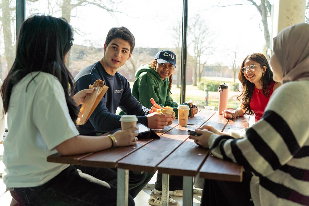 Students in conversation around a long table in a campus park pavilion